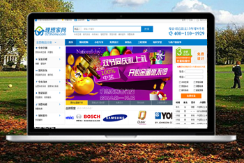 �Ͻ������