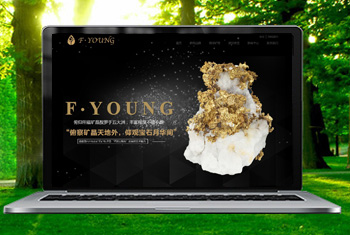 �Ͻڸ������ﱦʯ